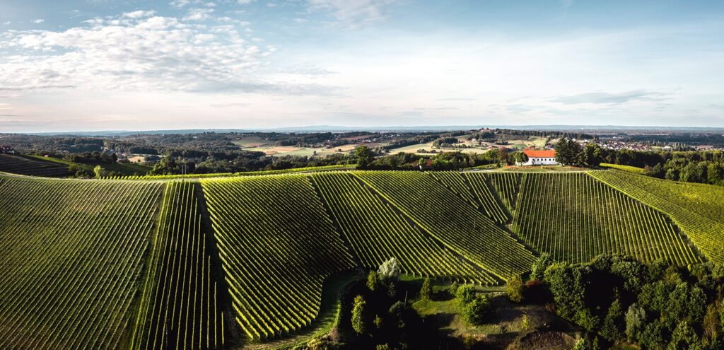 03 DveriPAXStefanLeitner