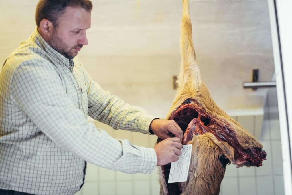 051_Forst_Jagd_Stift_AdmontStefanLeitner-min-e1634722547875