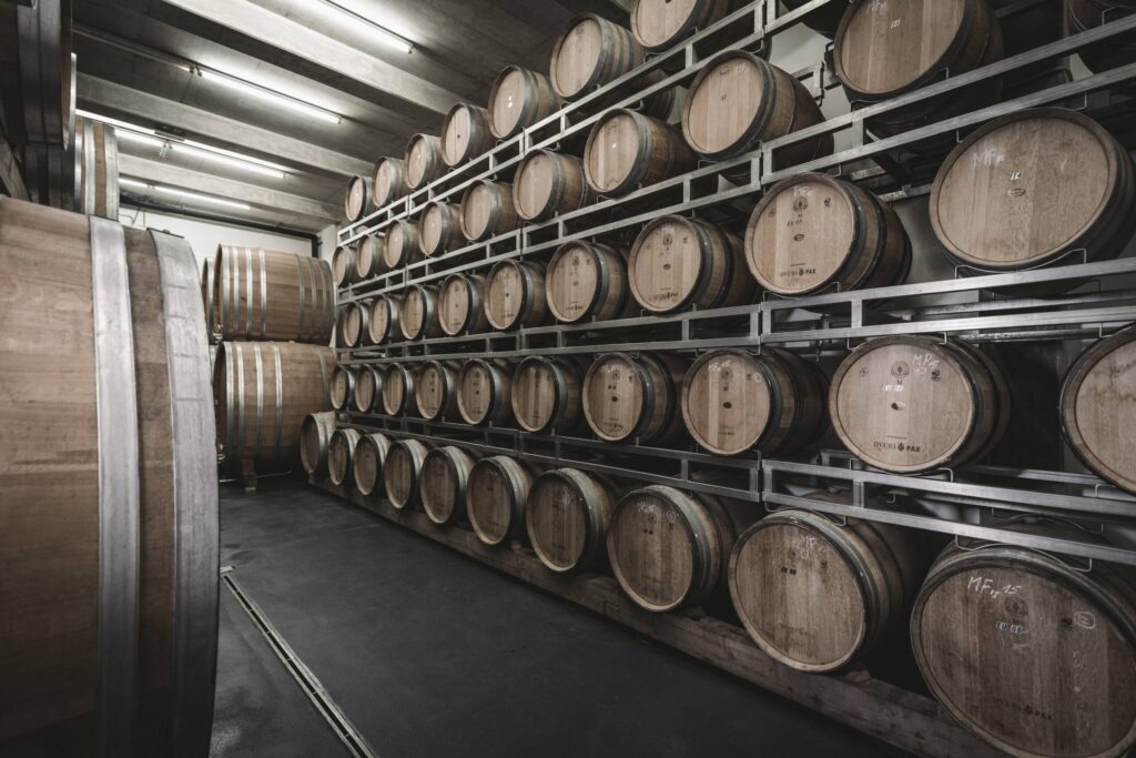 DveriPAXStefanLeitner_005-min-scaled