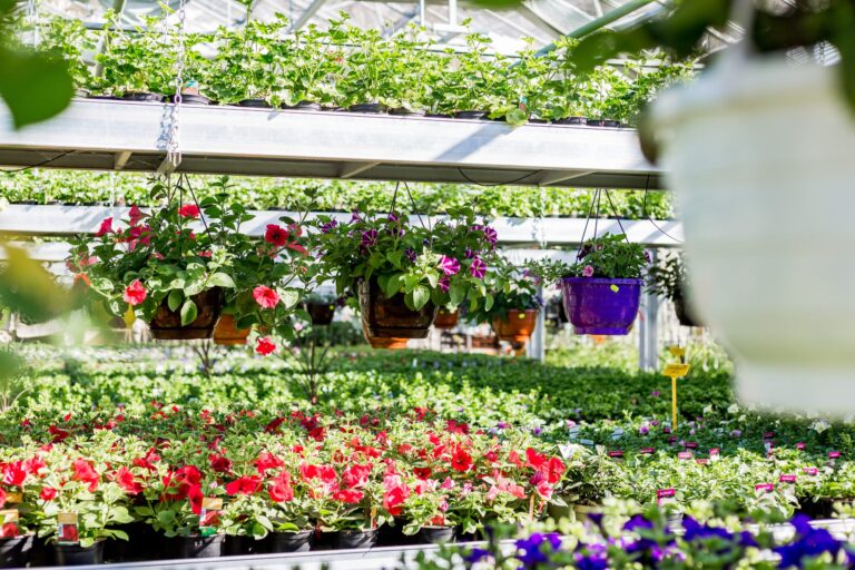 Gaertnerei-11-scaled