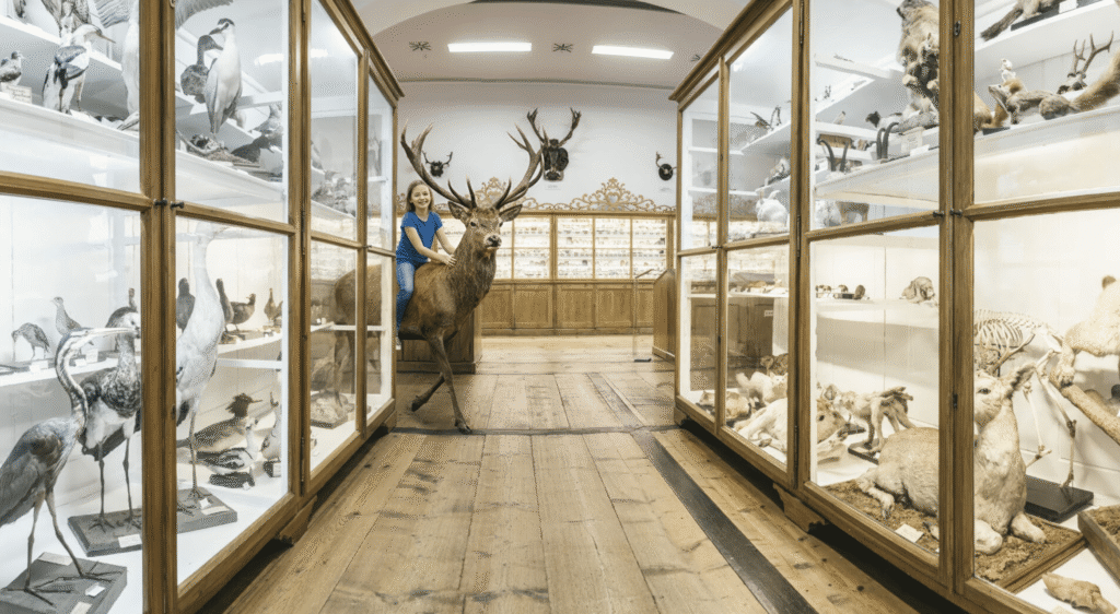 Naturhistorisches Museum Sujet KI